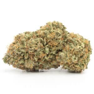 Blueberry Strain