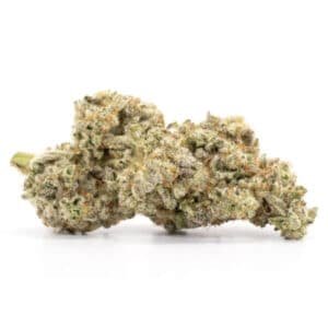 Gelato Strain for Sale | Phenos Dispensary