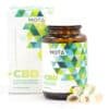 30mg CBD Capsules (Mota)