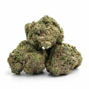 Forbidden Fruit Strain