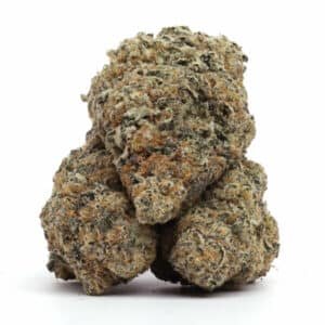 Mac 1 Strain