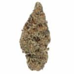 Mac 1 Strain