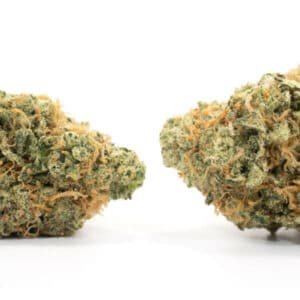 Orange Cookies Strain