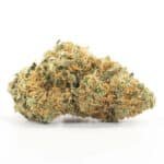 Orange Cookies Strain