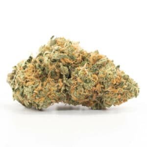Orange Cookies Strain