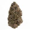 White Runtz Strain