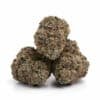 White Runtz Strain
