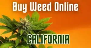 Buy Weed for Delivery in California | Phenos Dispensary