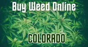 Buy Weed Online Colorado: Marijuana Delivery | Phenos Dispensary