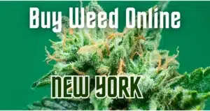Buy Weed Online New York | Phenos Dispensary