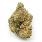 503 Wifi Strain