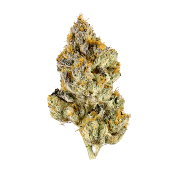 777 Strain