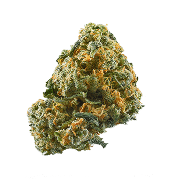Arjan's Ultra Haze #1 Strain