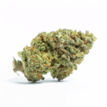 Banana Dawg Strain