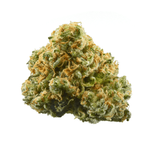 Banana Gelato Strain