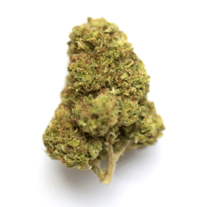 Beaver Tail Strain