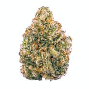 Beyond Blueberry Strain