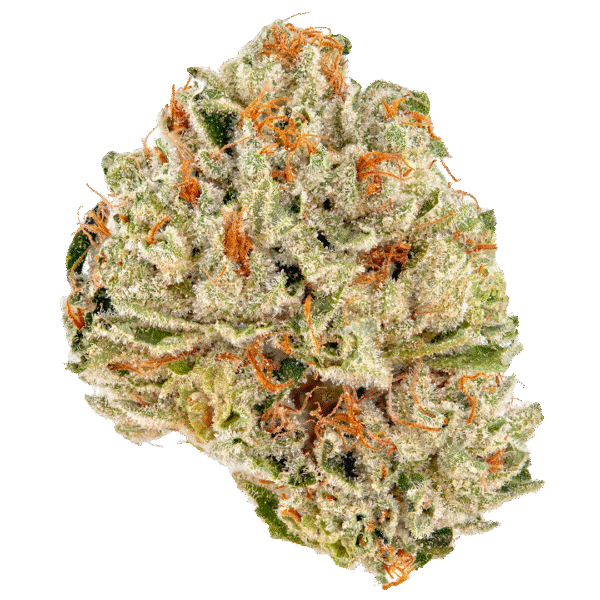 Big Buns Strain