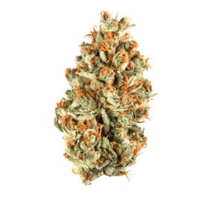 Black Amber Strain