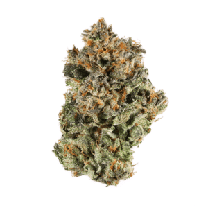 Black Cherry Maduro Strain