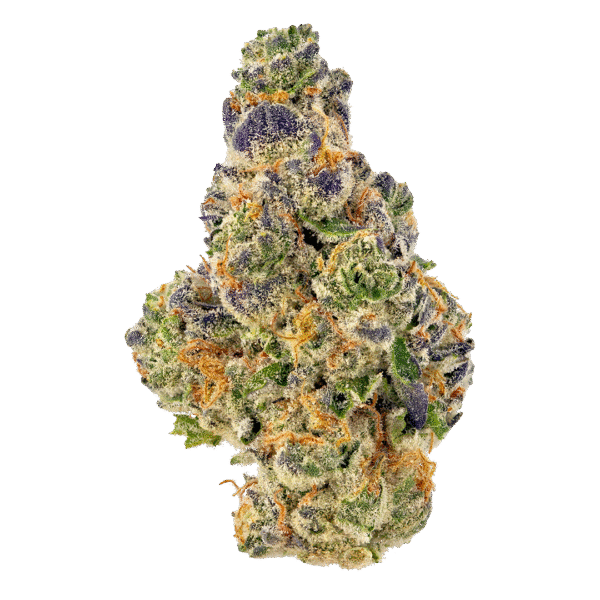 Blickey Strain