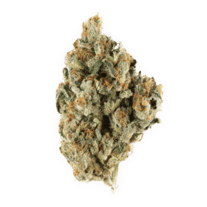 Blue Dot Strain