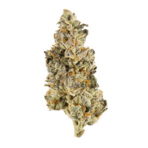 Blue Maui Strain