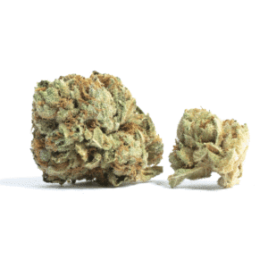 Blueberry Triple OG Strain