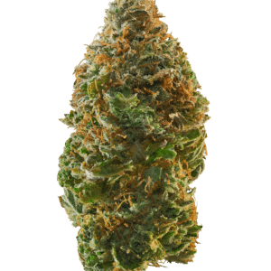 Bog Sour Grape Strain