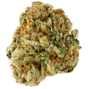 Bubba Diagonal Strain