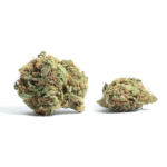 Bubble Spritz Strain