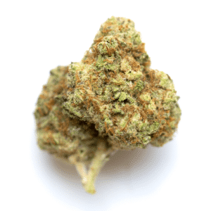 Buddha White Dwarf Strain