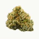 Buddha's Tooth Strain