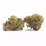 C3 Strain