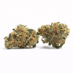 C3 Strain