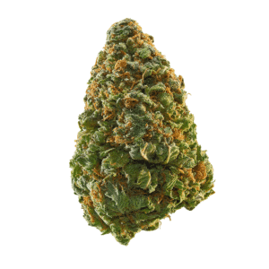 Candy Glue Strain