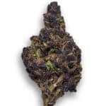 Canna Country #26 Strain