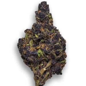 Canna Country #26 Strain