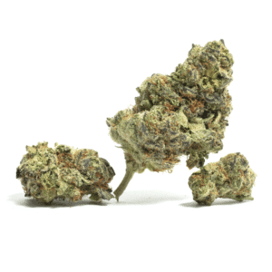 Cannoli Strain