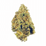 Caramel Kona Coffee Cookies Strain