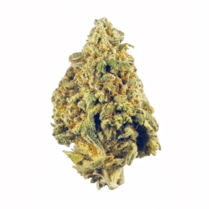 Caramel Kona Coffee Cookies Strain