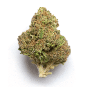Cement Shoes Strain