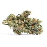 Cheesecake Strain