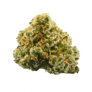 Cherry Cola Strain