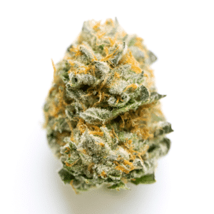 Chocolate Drop Strain