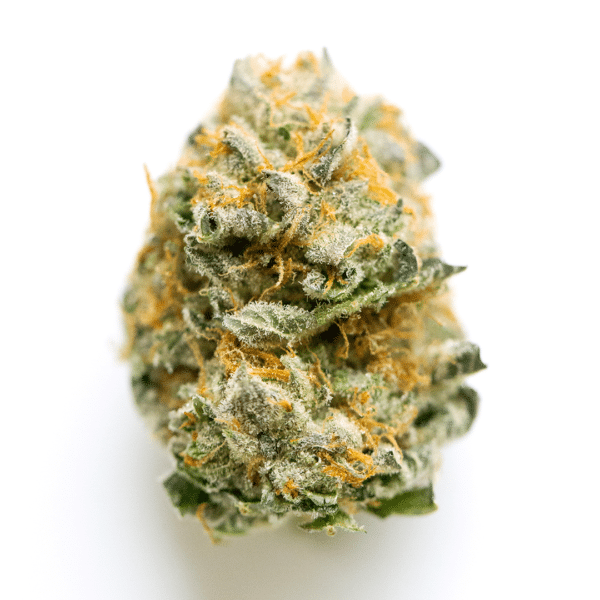 Chocolate Drop Strain