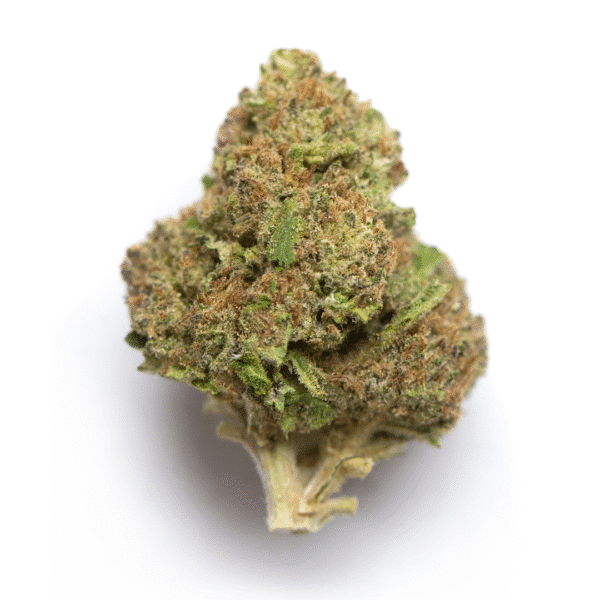 Colorado Chem RBX3 Strain