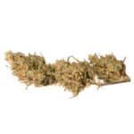 Crystal Candy XL Auto Strain