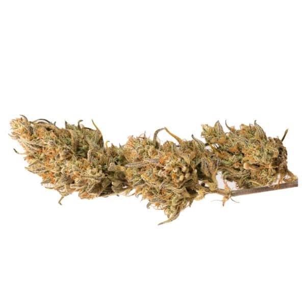 Crystal Candy XL Auto Strain