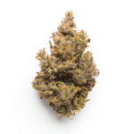 Dagwood Strain